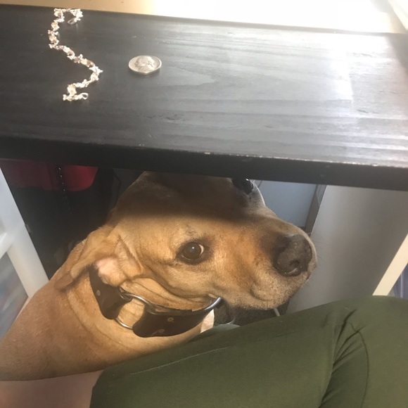 Meet your Posher, Shelly - Picture 4 of 5